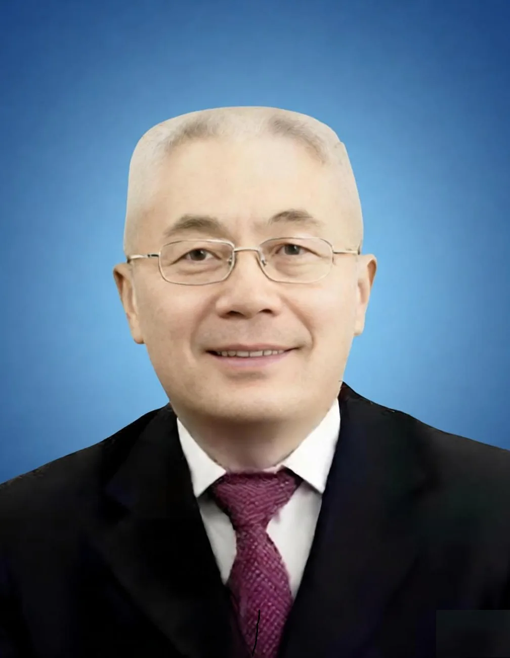 Prof. Wang Bojun